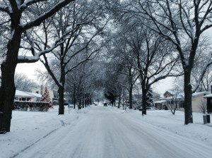 Michigan Winter