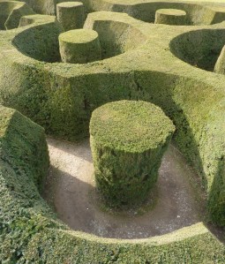 Photo Credit: Arenamontanus via Compfight cc